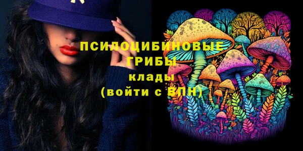 эйфоретик Алексин