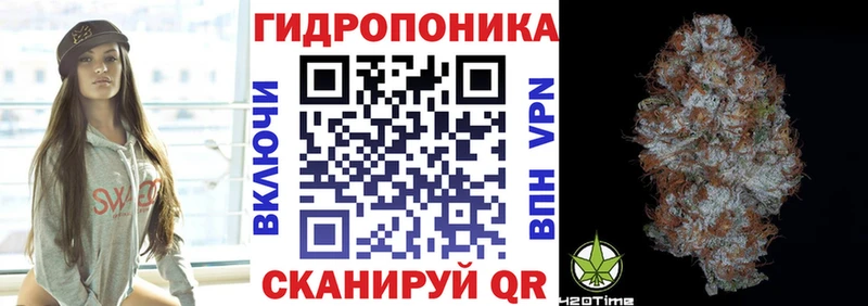 kraken зеркало  Шумиха  Марихуана OG Kush  продажа наркотиков 
